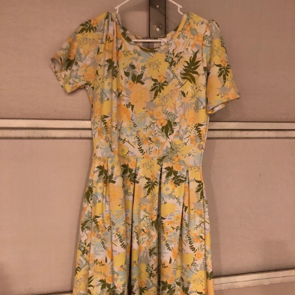 Lularoe “Amelia” pocket dress.